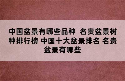 中国盆景有哪些品种  名贵盆景树种排行榜 中国十大盆景排名 名贵盆景有哪些